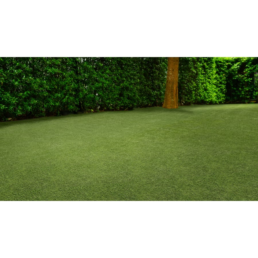 msi-ltrfr15x100-45mm110oz-alternate-image-177 msi-ltrfr15x100-45mm110oz-alternate-image-177