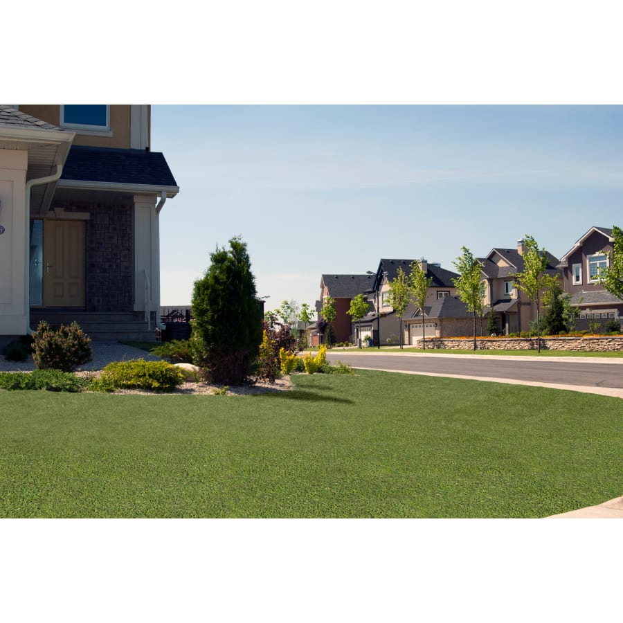 msi-ltrfr15x100-45mm91oz-alternate-image-195 msi-ltrfr15x100-45mm91oz-alternate-image-195