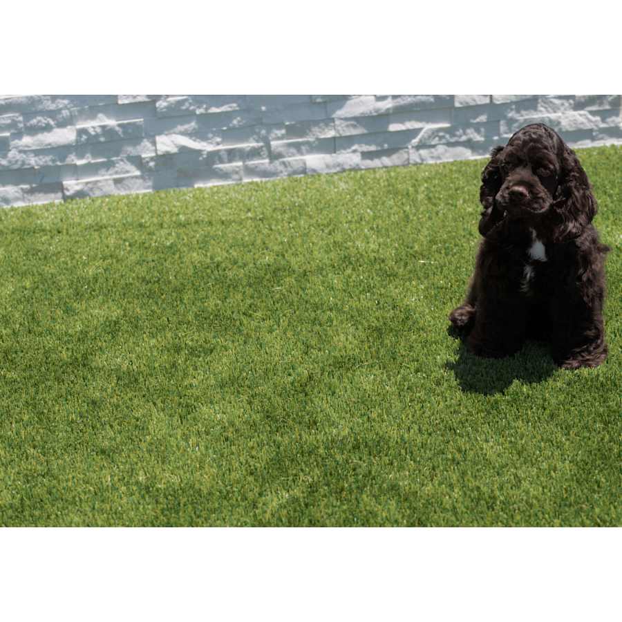 msi-ltrfr15x100-45mm91oz-alternate-image-197