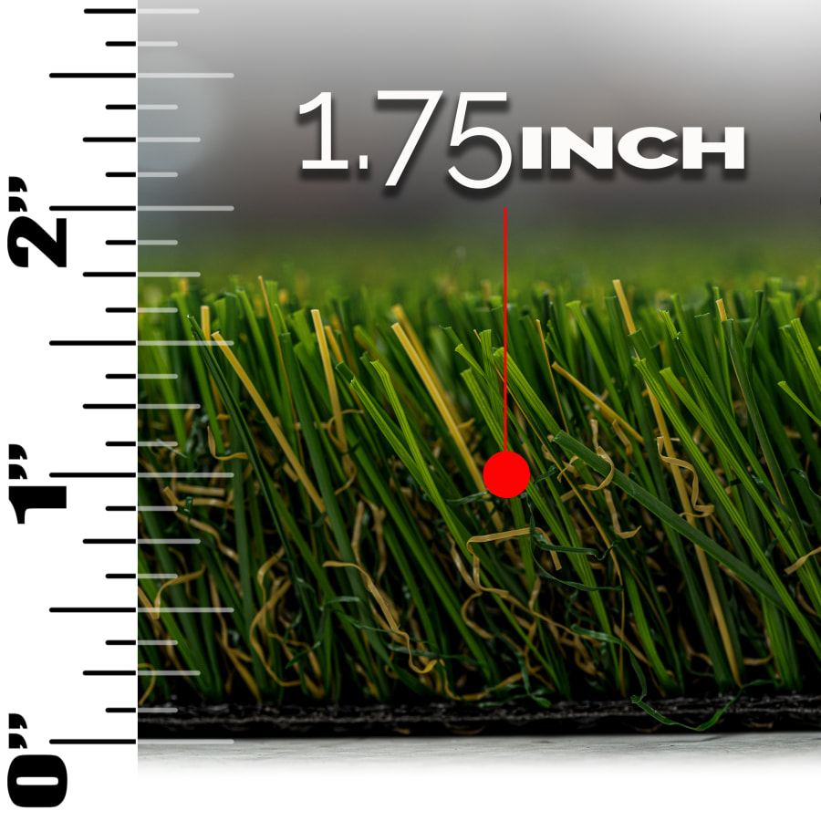 msi-ltrfrsum15x100-45mm96oz-alternate-image-9 msi-ltrfrsum15x100-45mm96oz-alternate-image-9