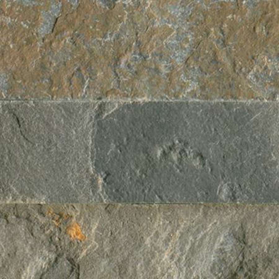 Alternate Image