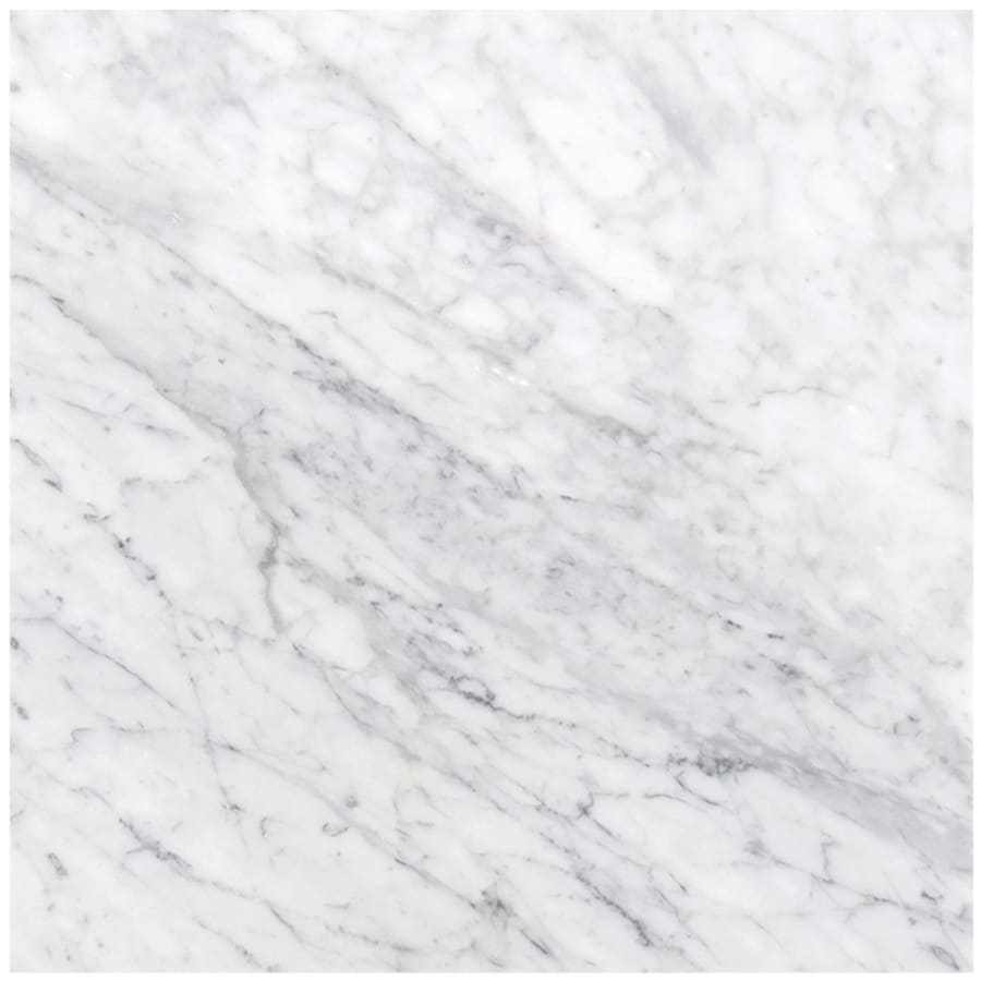 MSI Carrara White - 12" x 12" Square Floor and Wall Tile - Honed Visual - Sold by Carton (10 SF/Carton) Honed
