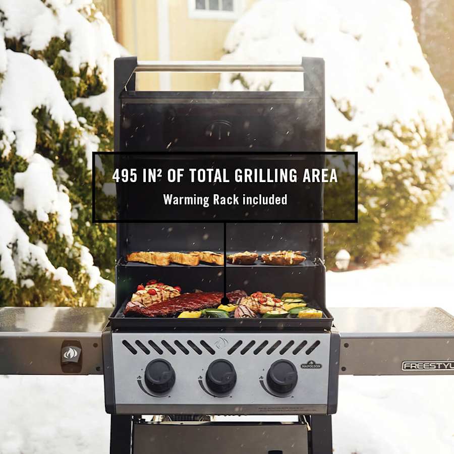 napoleon-f365dp-alternate-image-201