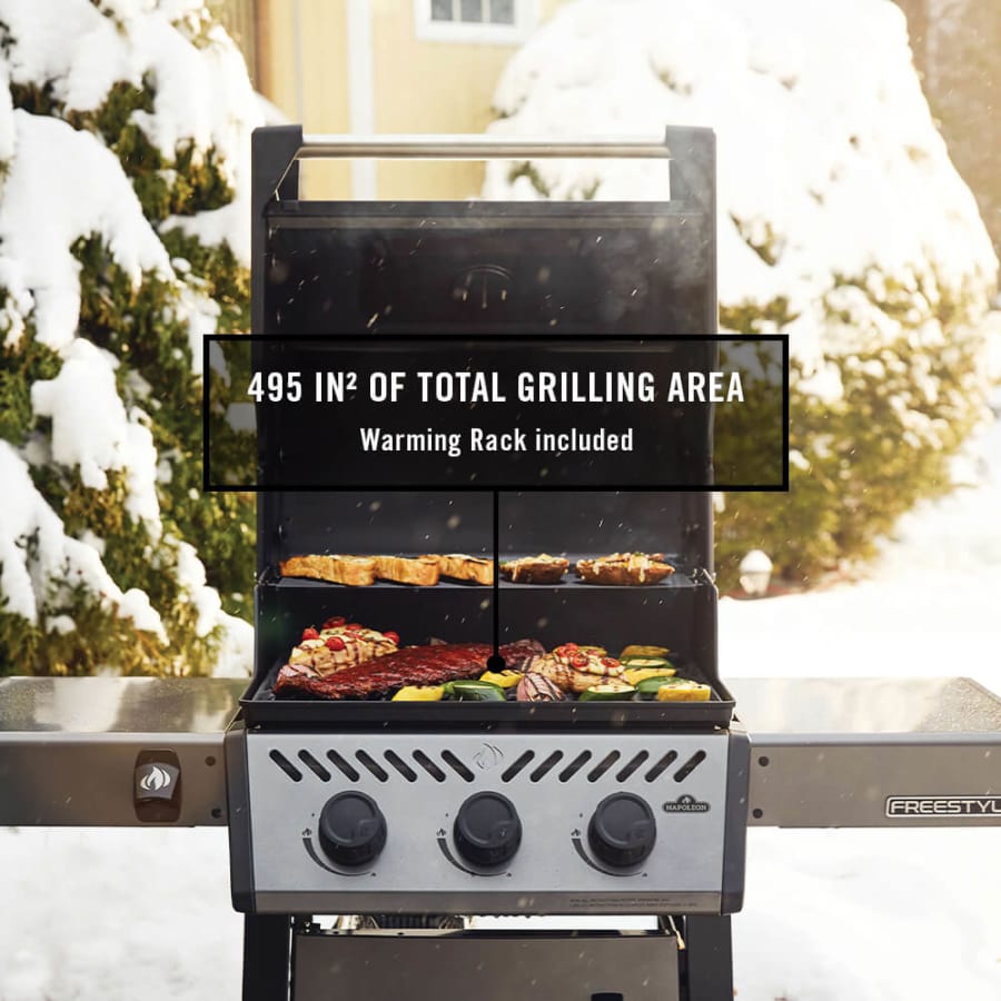 napoleon-f365dp-alternate-image-201 napoleon-f365dp-alternate-image-201