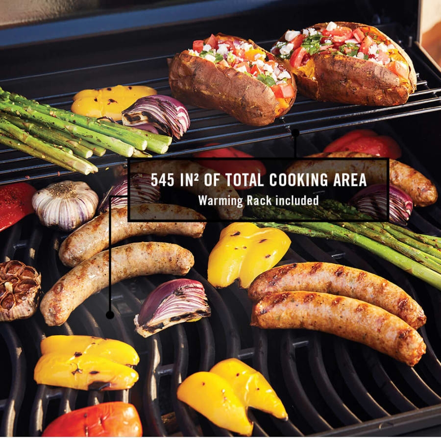 napoleon-f365dsbp-alternate-image-210 napoleon-f365dsbp-alternate-image-210