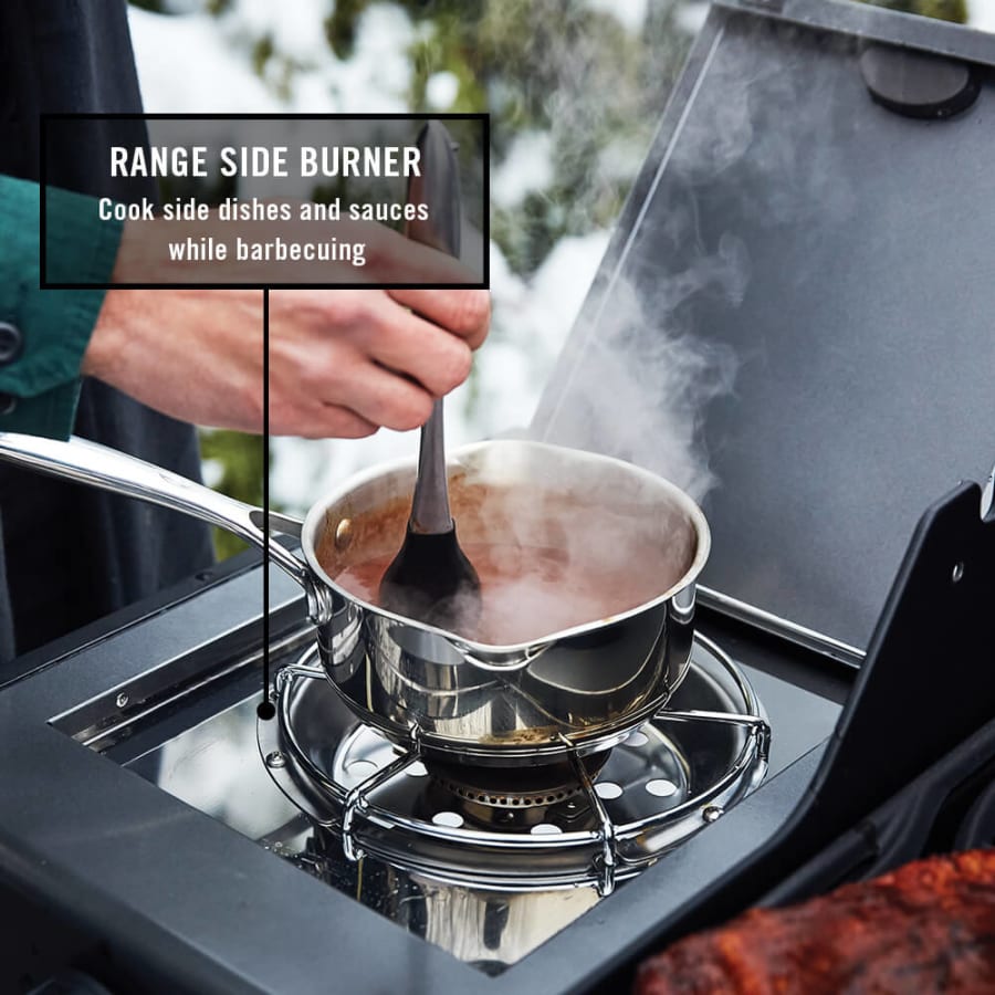 napoleon-f365dsbp-alternate-image-211 napoleon-f365dsbp-alternate-image-211