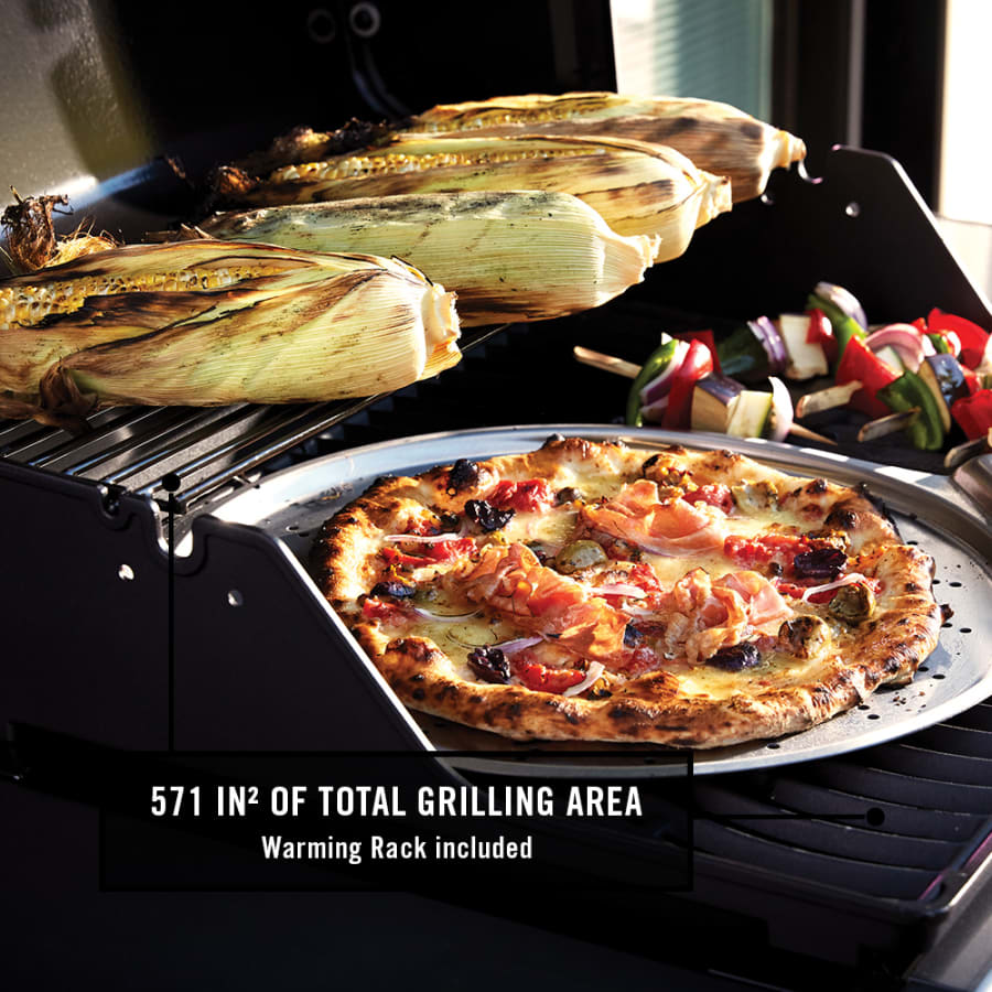 napoleon-f425dp-alternate-image-225 napoleon-f425dp-alternate-image-225