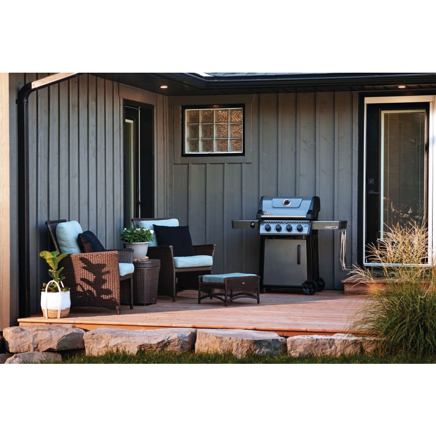 napoleon-f425dp-alternate-image-229 napoleon-f425dp-alternate-image-229