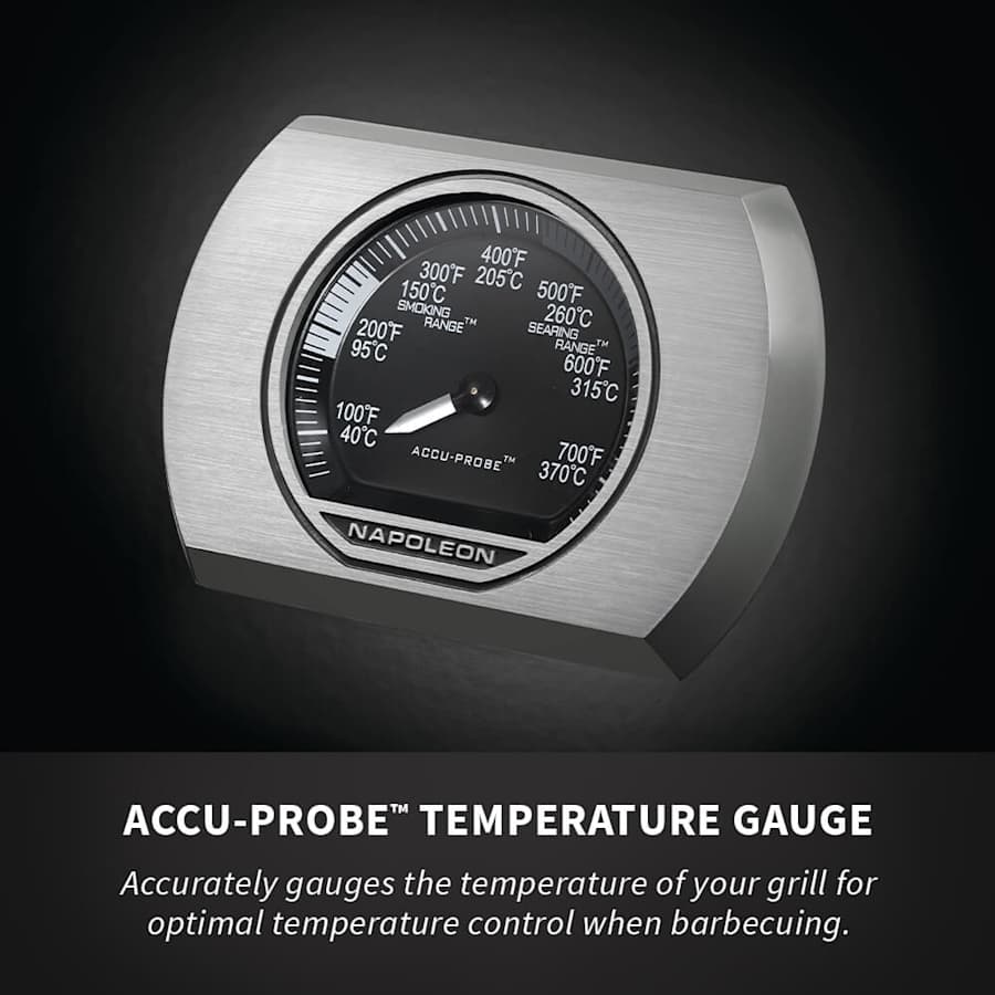 napoleon-rxt425sibn-alternate-image-633