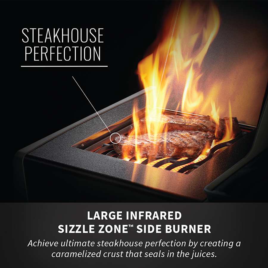 napoleon-rxt425sibn-alternate-image-642