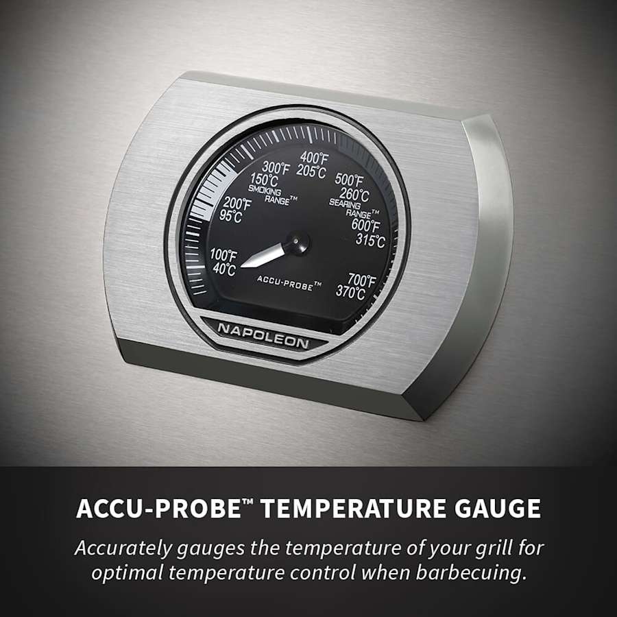 napoleon-rxt425sibn-alternate-image-643