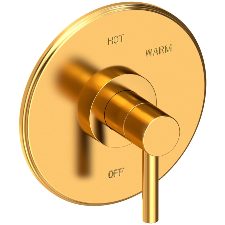 Newport Brass East Linear Collection Single Handle Round Pressure Balanced Shower Trim Plate Only with Metal Lever Handle Aged Brass