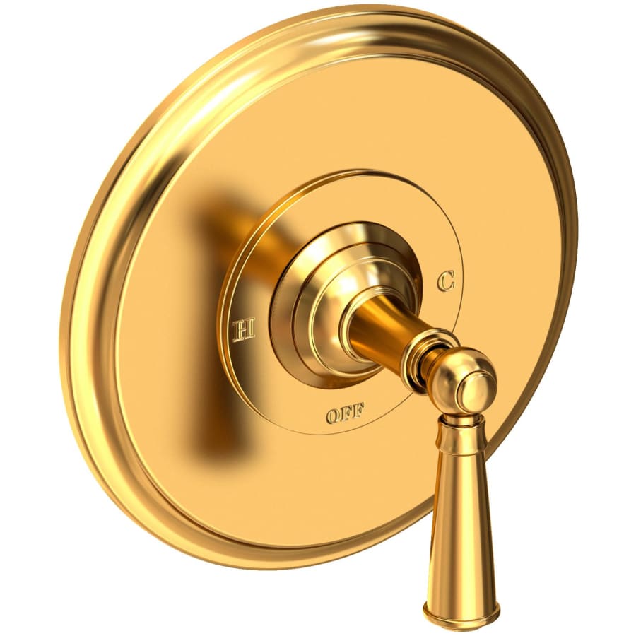 Newport Brass Single Handle Shower Valve Trim with Metal Lever Handle Less Shower Head for the Aylesbury and Jacobean Collections Aged Brass
