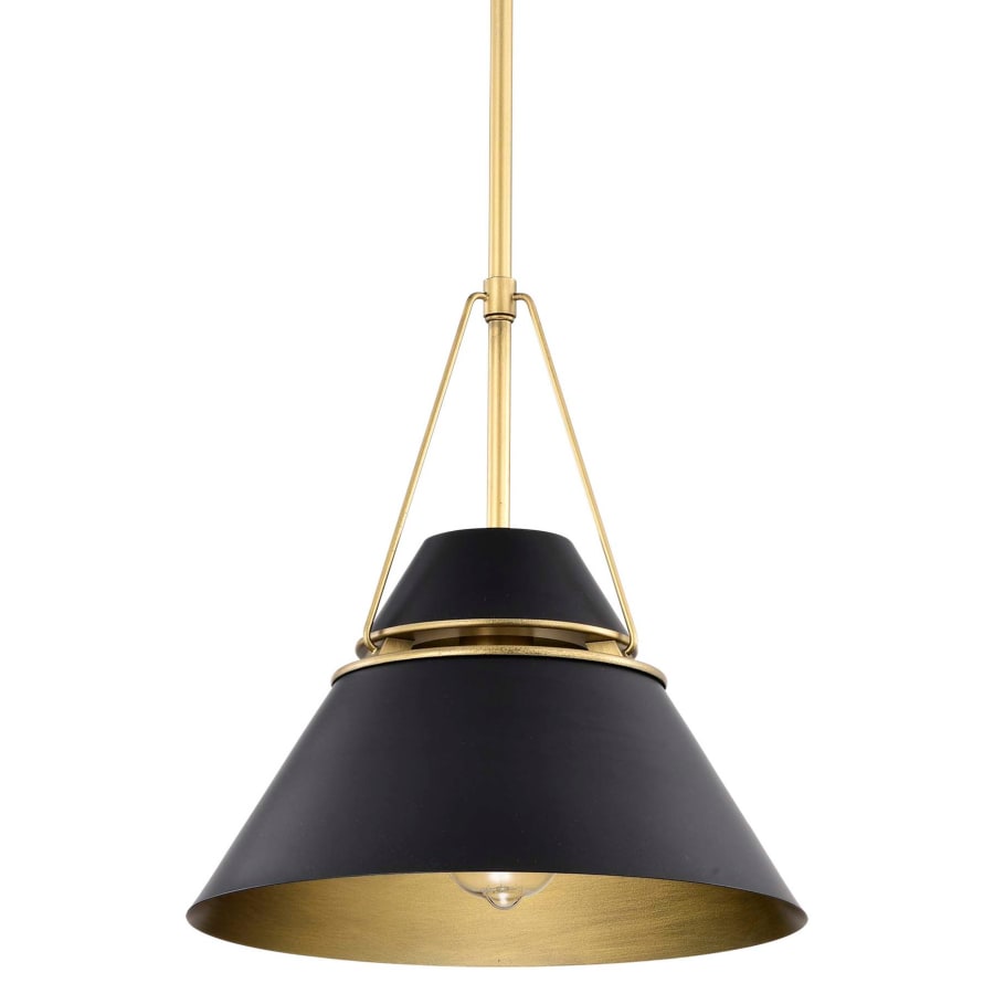Nuvo Lighting 60 7766 Adina 13 Wide Pendant with Shade Build