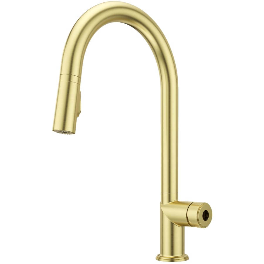 pfister-gt529-tnt-alternate-image-124 pfister-gt529-tnt-alternate-image-124