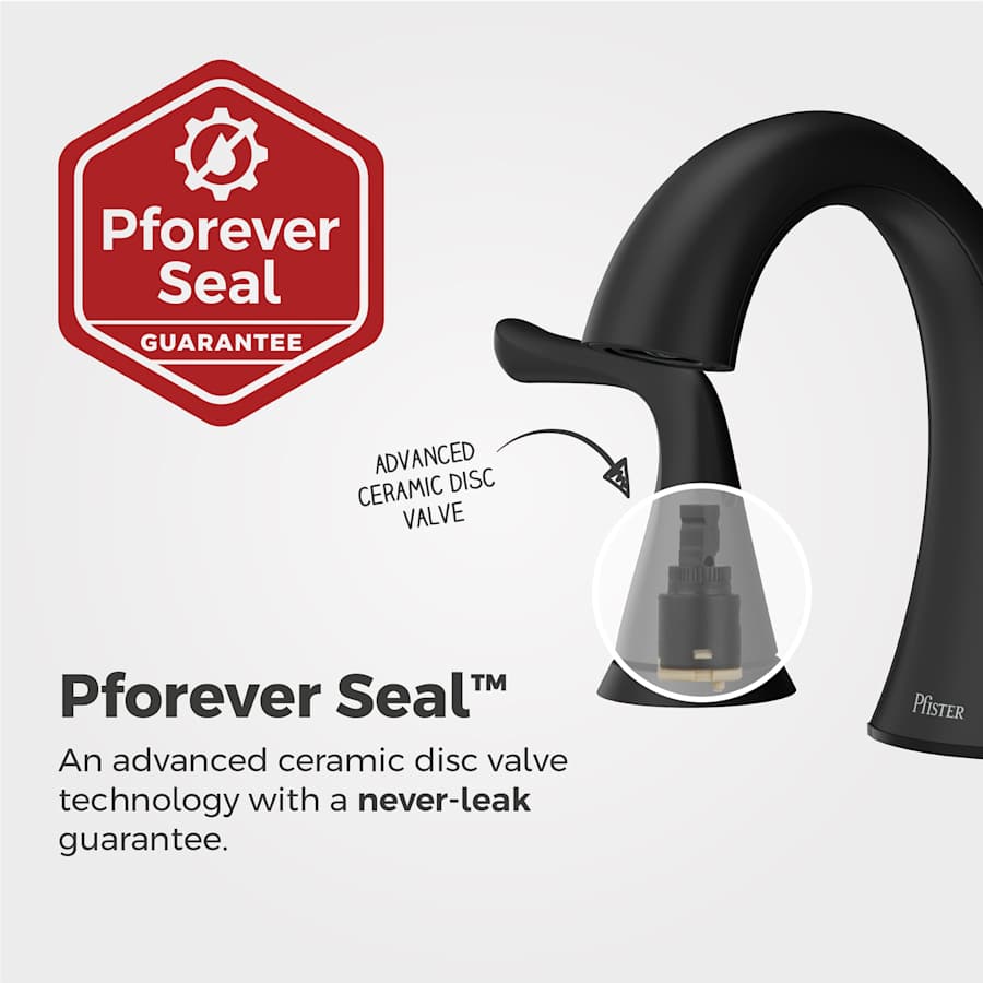 pfister-lf-049-mal-alternate-image-161