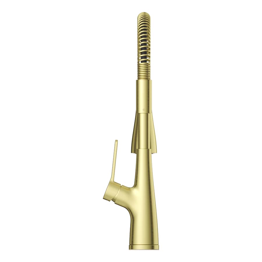 pfister-lg529-nec-alternate-view-42