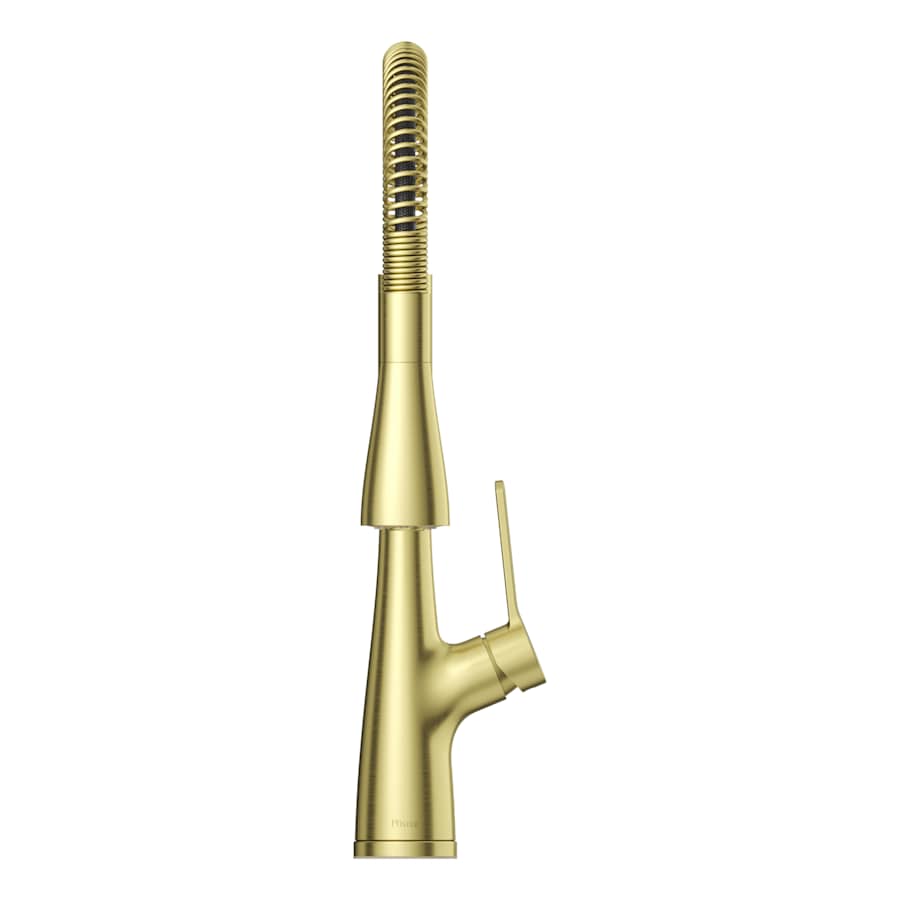 pfister-lg529-nec-alternate-view-43