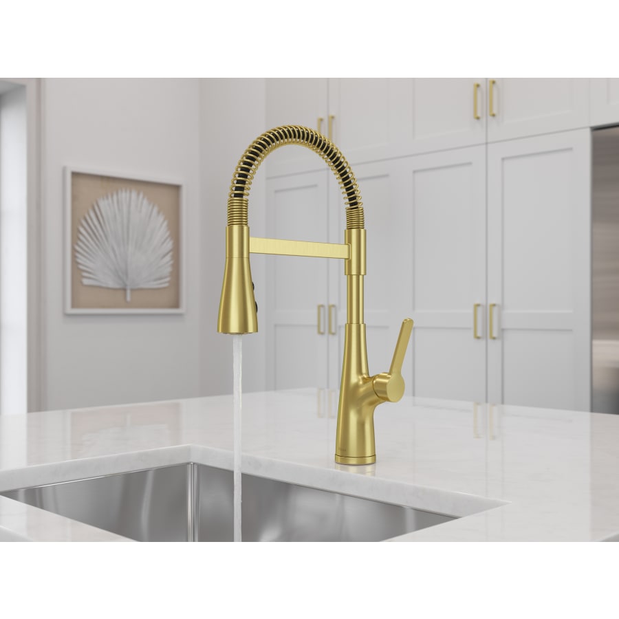 pfister-lg529-nec-alternate-view-45 pfister-lg529-nec-alternate-view-45