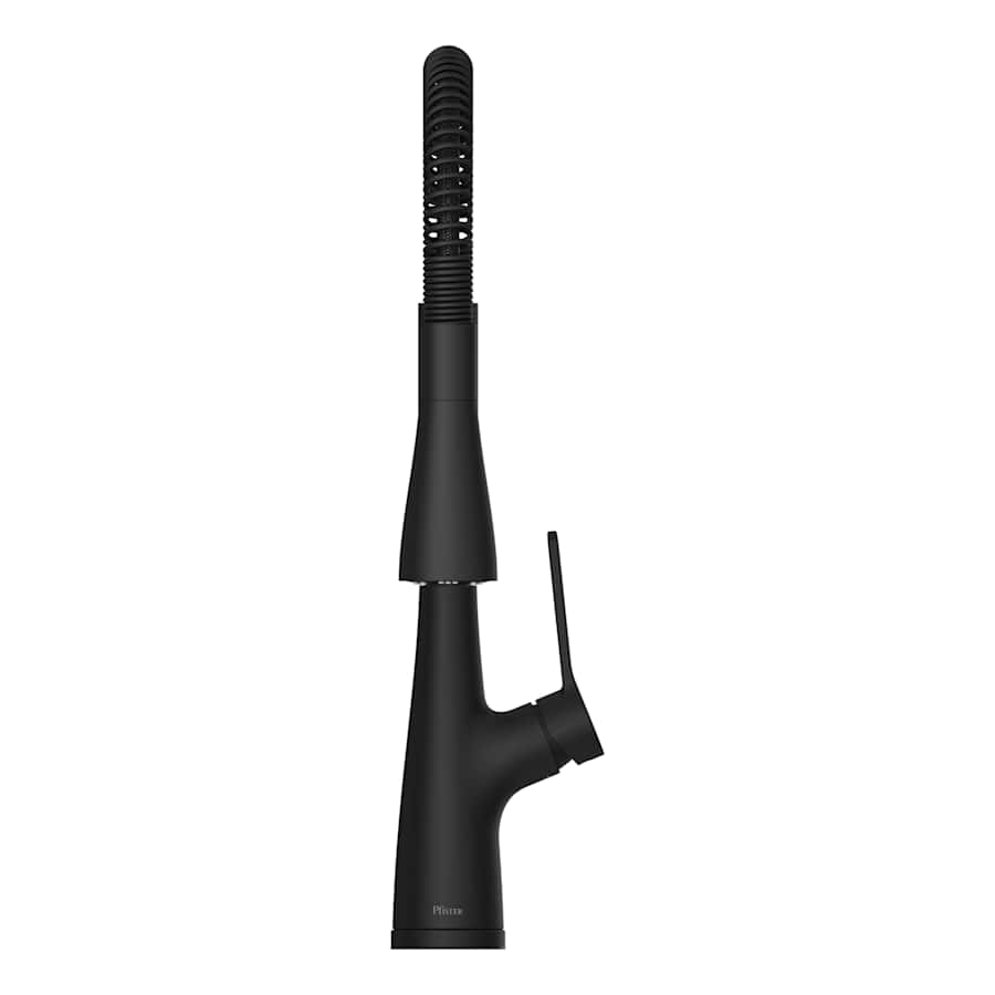 pfister-lg529-nec-alternate-view-51