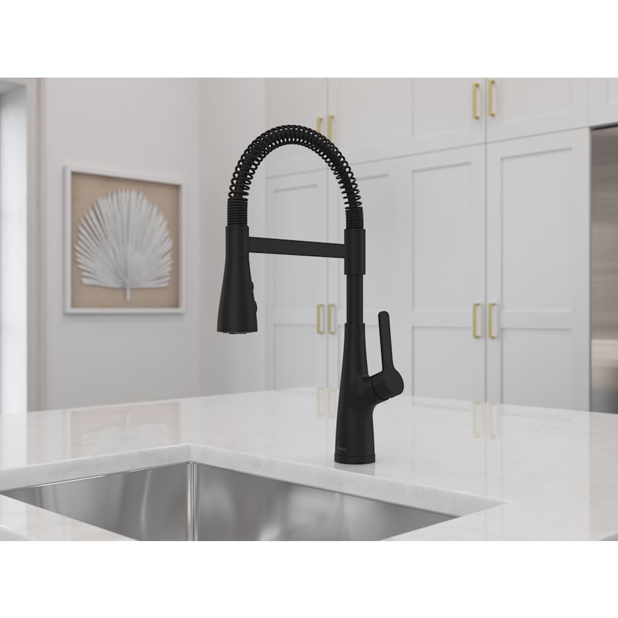 pfister-lg529-nec-alternate-view-52