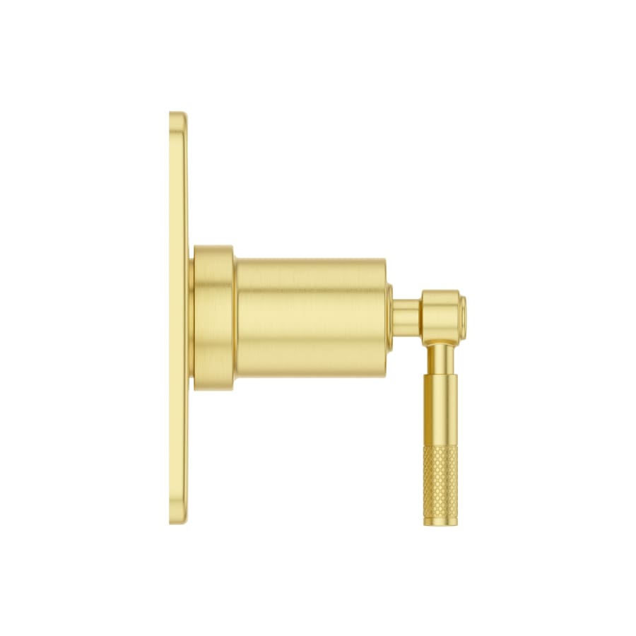 pfister-r89-1hls-alternate-image-258 pfister-r89-1hls-alternate-image-258