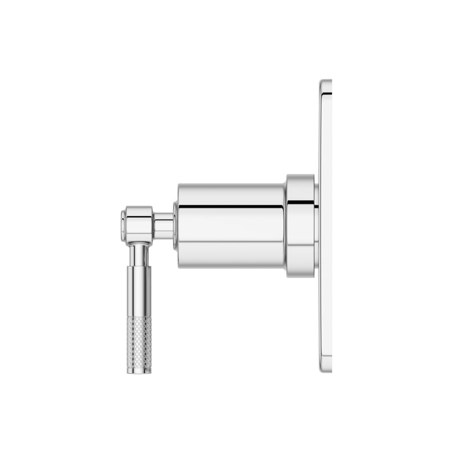 pfister-r89-1hls-alternate-image-263 pfister-r89-1hls-alternate-image-263