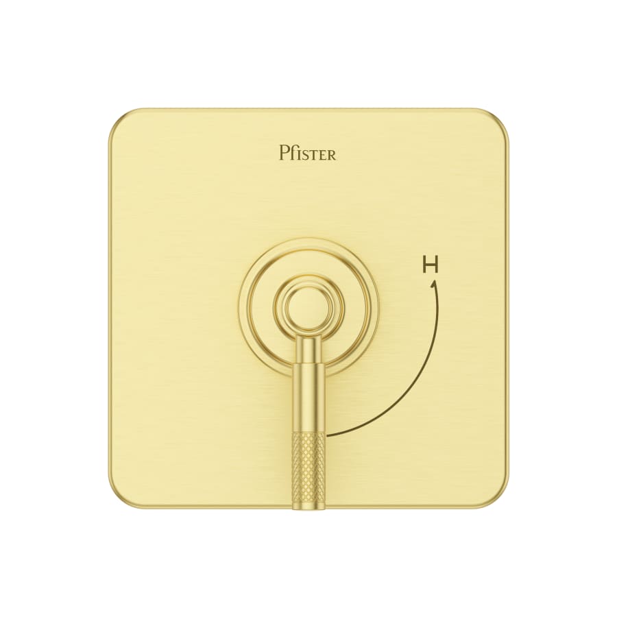 pfister-r89-1hls-alternate-image-274 pfister-r89-1hls-alternate-image-274