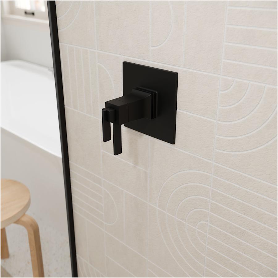 pfister-r89-vrv-alternate-image-259 pfister-r89-vrv-alternate-image-259