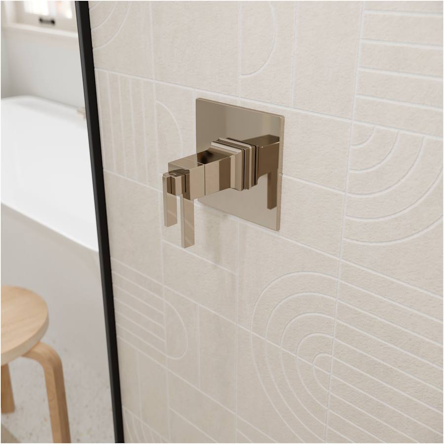 pfister-r89-vrv-alternate-image-272 pfister-r89-vrv-alternate-image-272