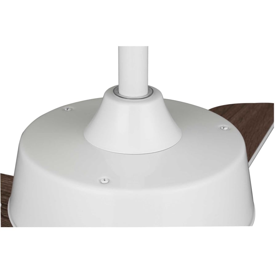 Product Top View