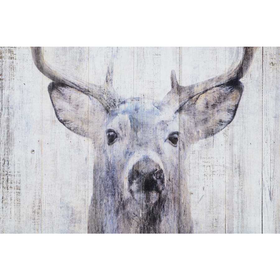 ren-wil-w6471-detail-279