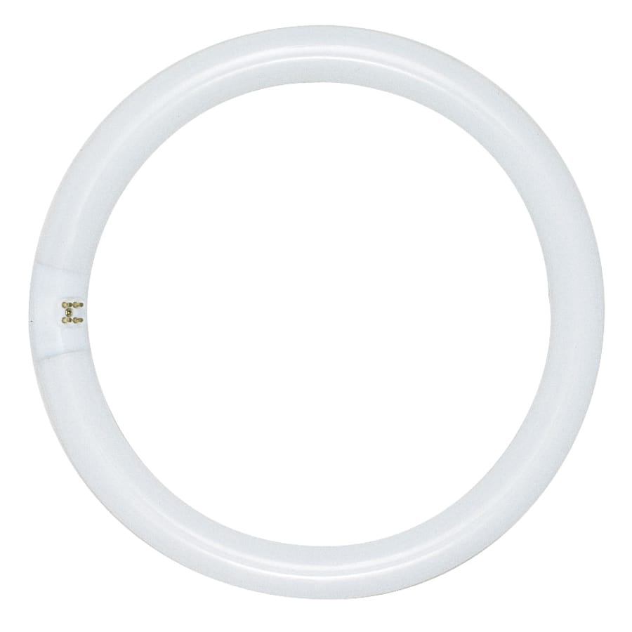 satco-lighting-s6509-2184412