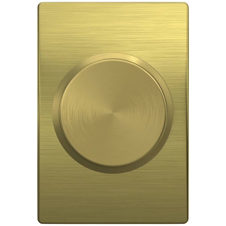 schlage-f10-bwe-cen-alternate-image-20