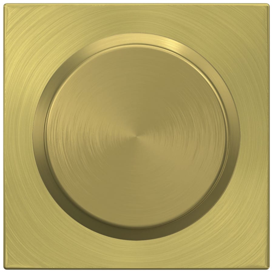 Schlage F170BWE619COL
