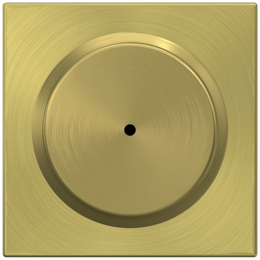 Schlage F40BWE619COL
