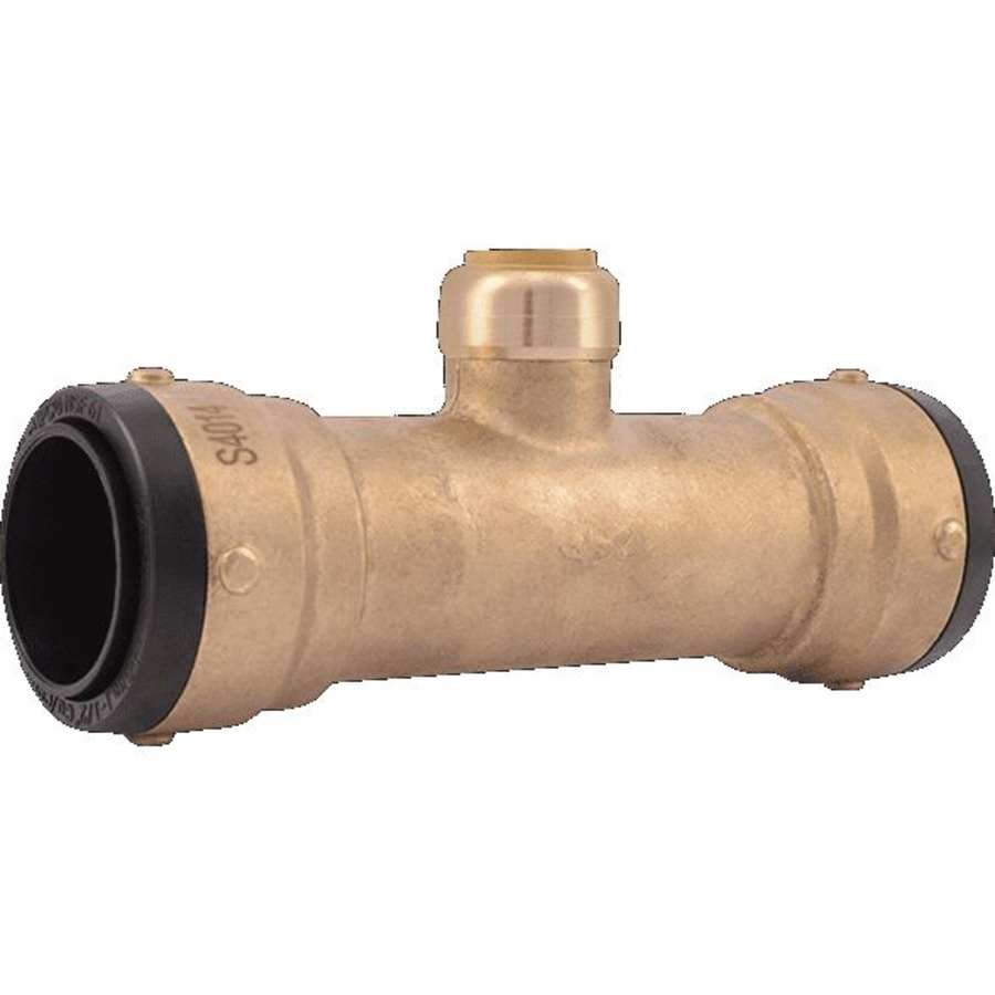 sharkbite-uxl08414122-2446558