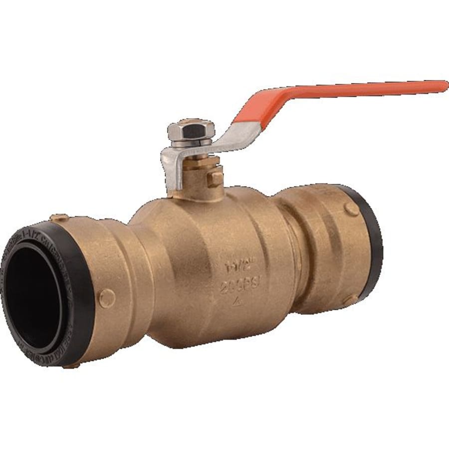 sharkbite-uxlbv41-2446558 sharkbite-uxlbv41-2446558