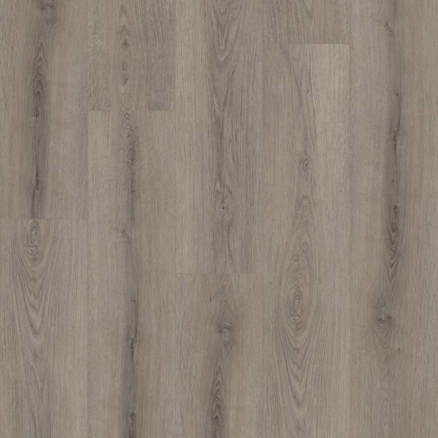 shaw-0278v-05219-sample-4824488