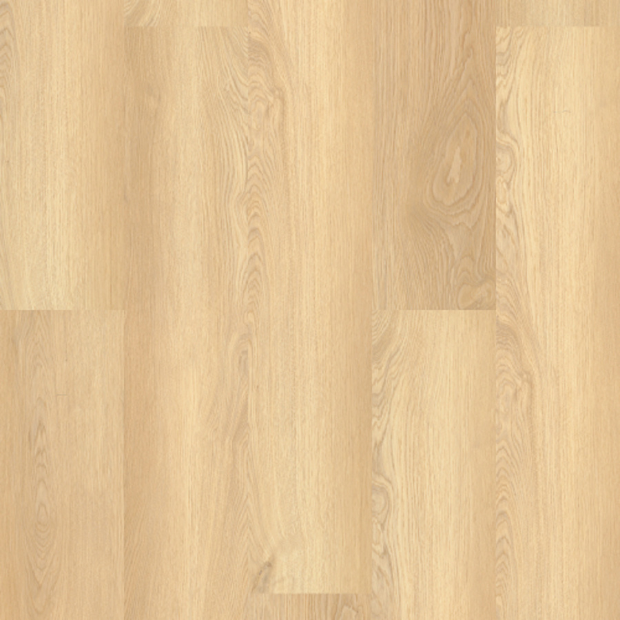 shaw-0278v-alternate-view-9