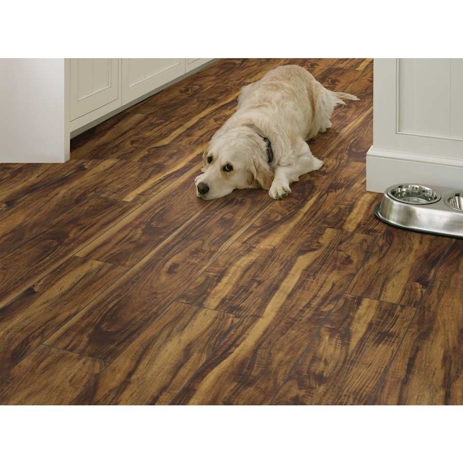 shaw-1020v-alternate-view-1386