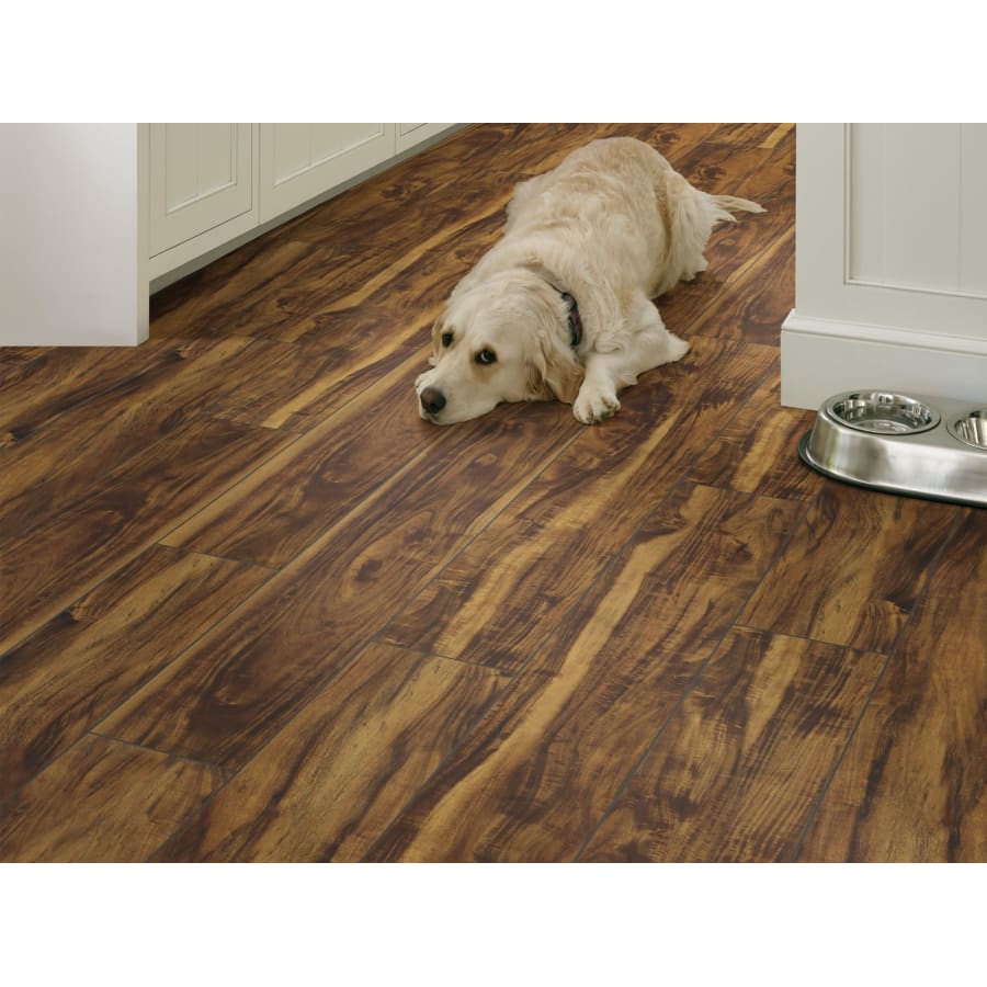 shaw-1020v-alternate-view-1386 shaw-1020v-alternate-view-1386