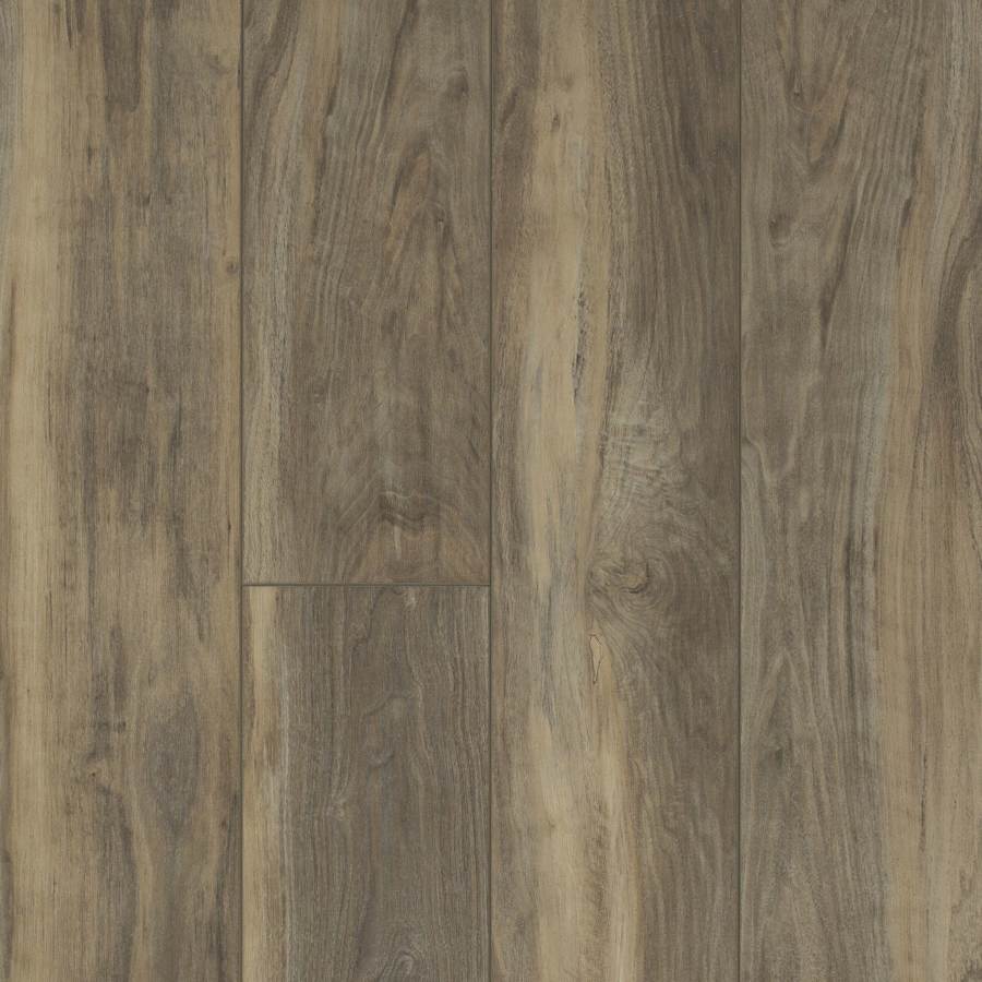 shaw-2001v-00558-sample-1537745