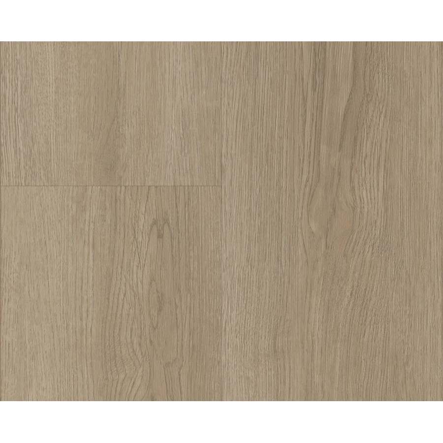 shaw-3100v-07194-sample-3296167