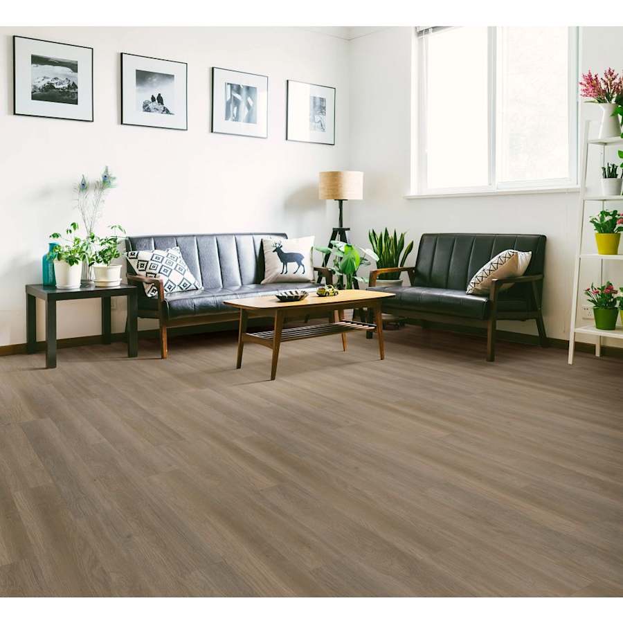 shaw-3101v-alternate-image-25