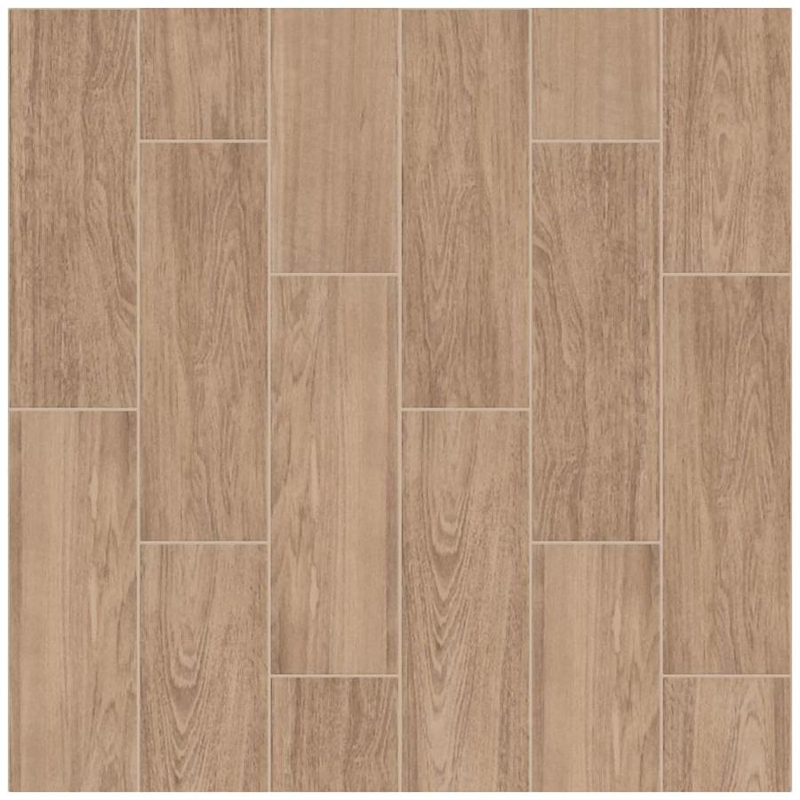 shaw-425ts-00250-6178552