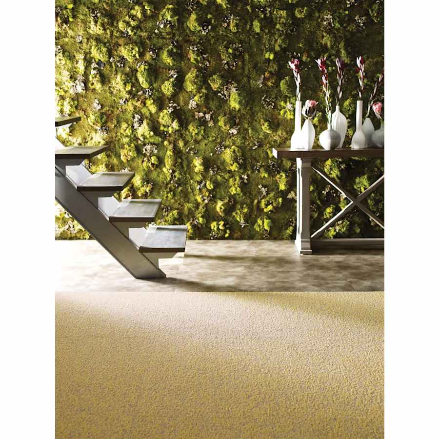 shaw-5441v-alternate-image-19