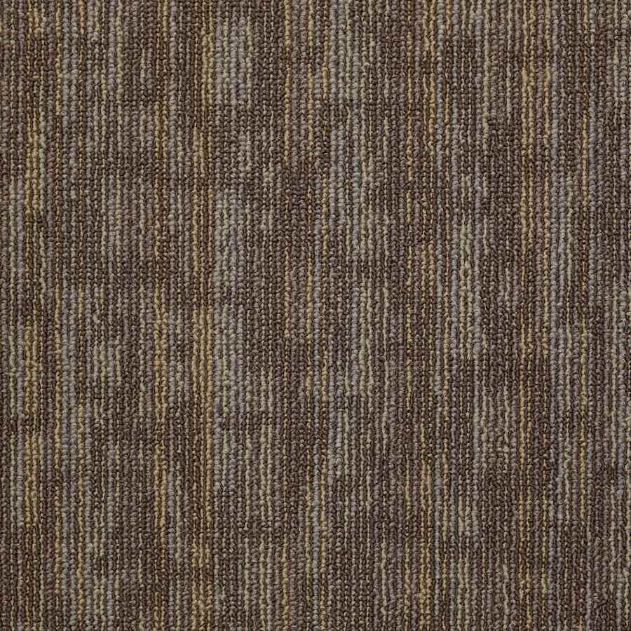 shaw-54491-91791-sample-4585993