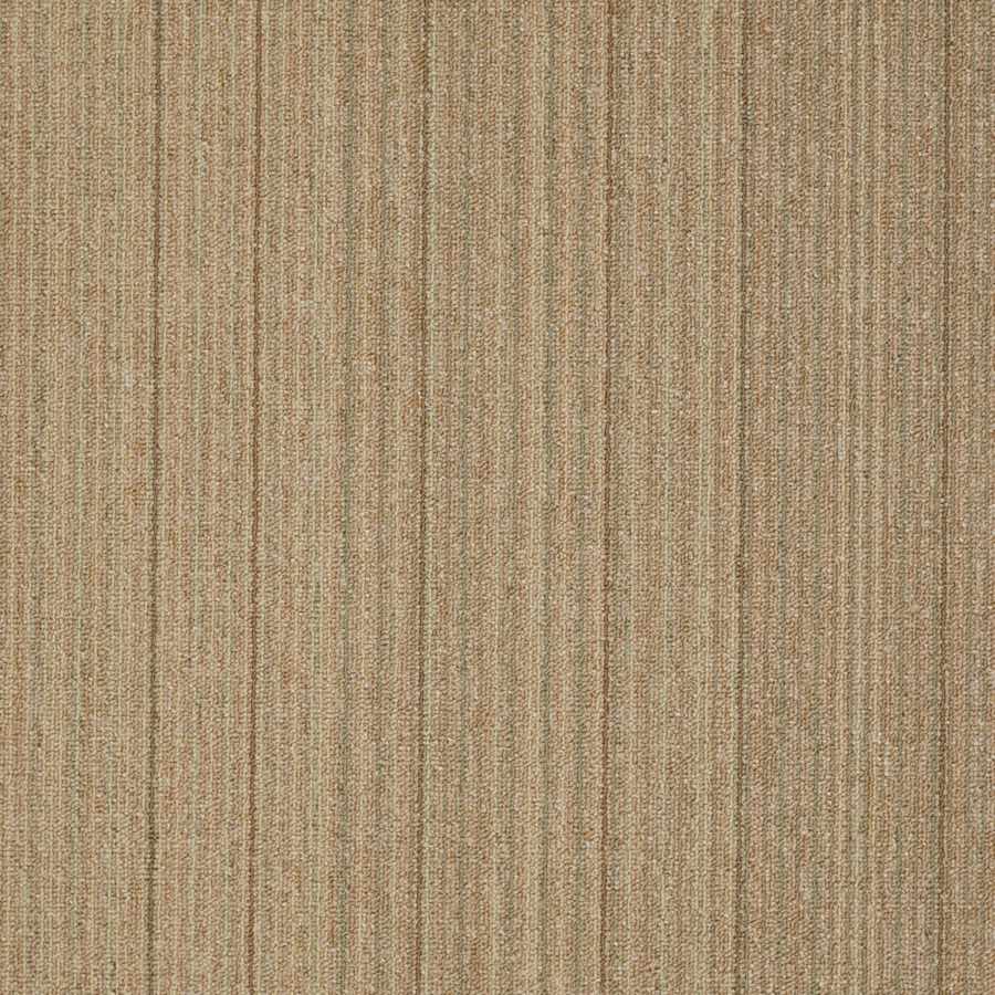 shaw-54734-34205-sample-4585993