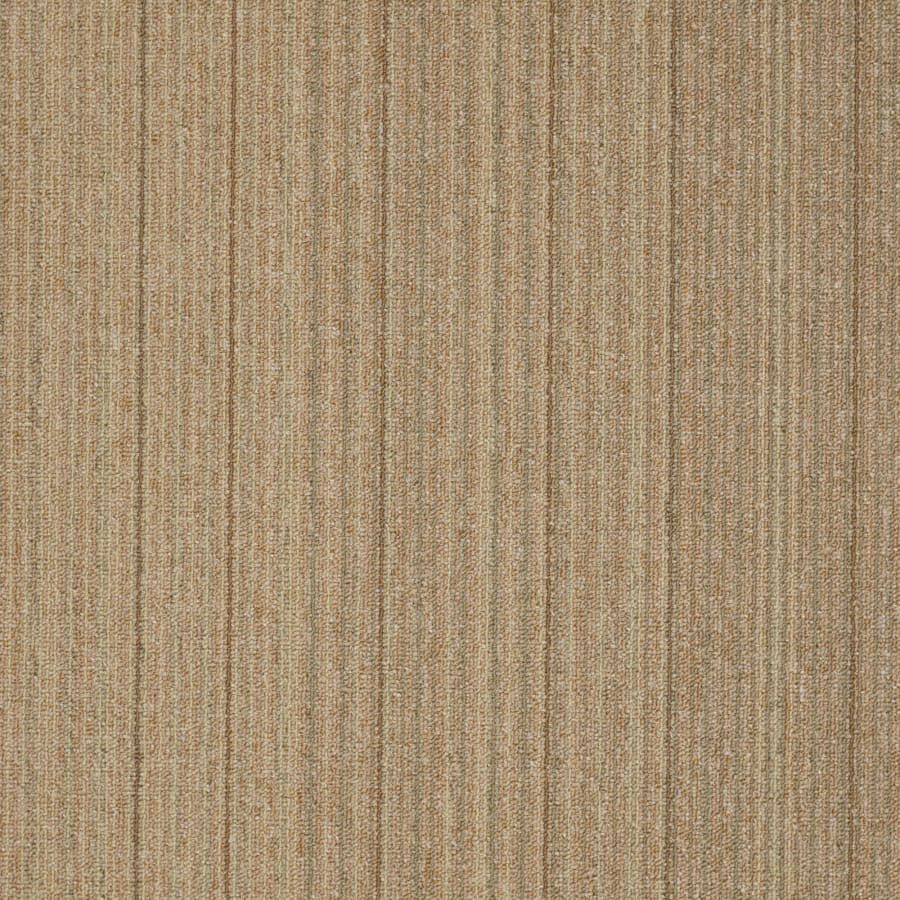 shaw-54734-34205-sample-4585993 shaw-54734-34205-sample-4585993